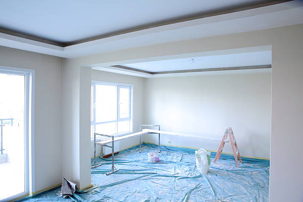 Best Drywall Sanding and Smoothing  in Schleswig, IA