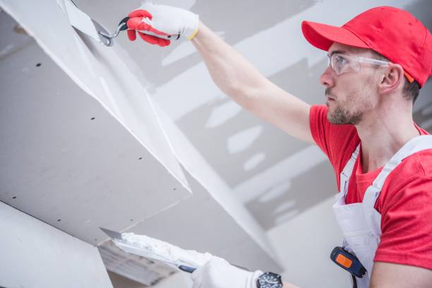 Best Drywall Crack Repair  in Schleswig, IA